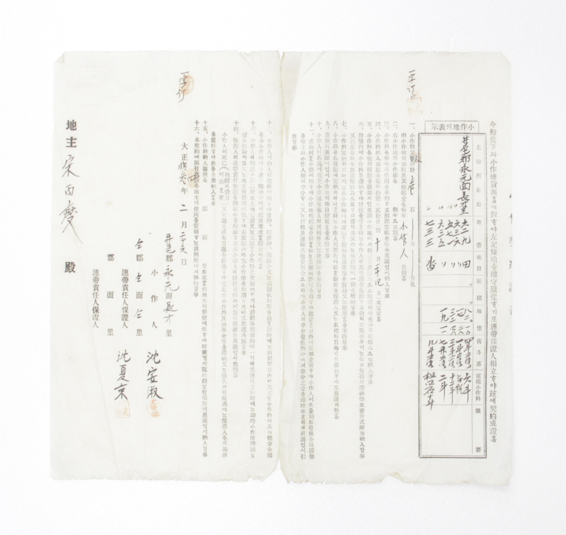 소작계약서 - 1924년 심안숙(沈安淑) 섬네일 파일