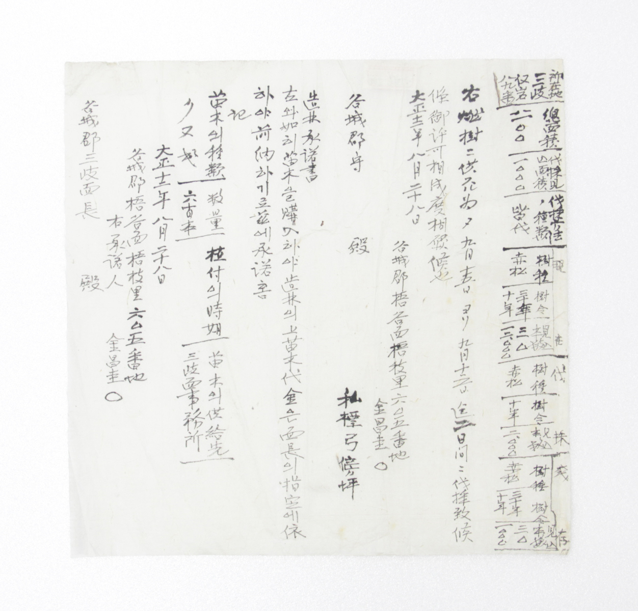 조림승낙서(造林承諾書) - 1923년 김창규(金昌圭) 섬네일 파일