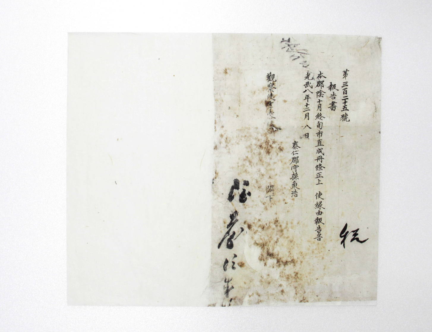 1904년 태인군수 손병호 보고서(제325호) 섬네일 파일