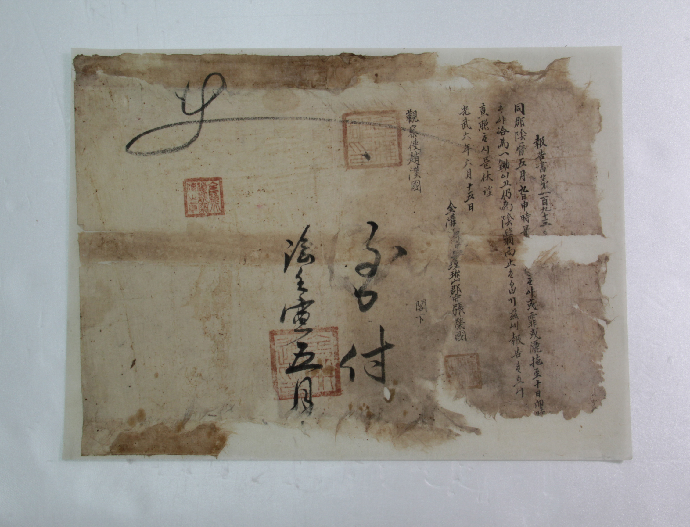 보고서 제193호 - 1902년 금구군수 장영국(張榮國) 섬네일 파일
