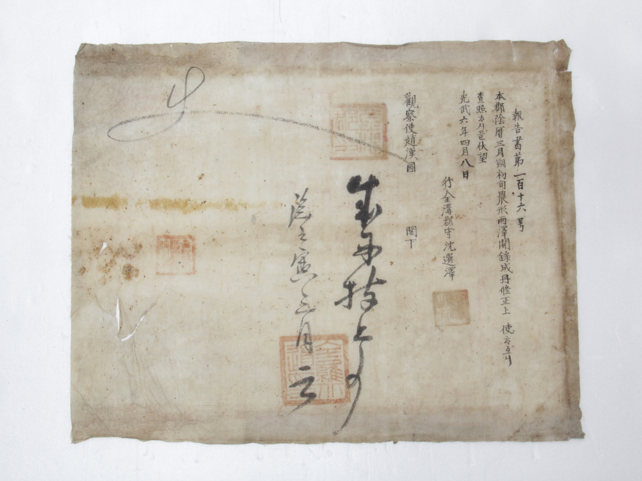보고서 제116호 - 1902년 금구군수 심선택(沈選澤) 섬네일 파일