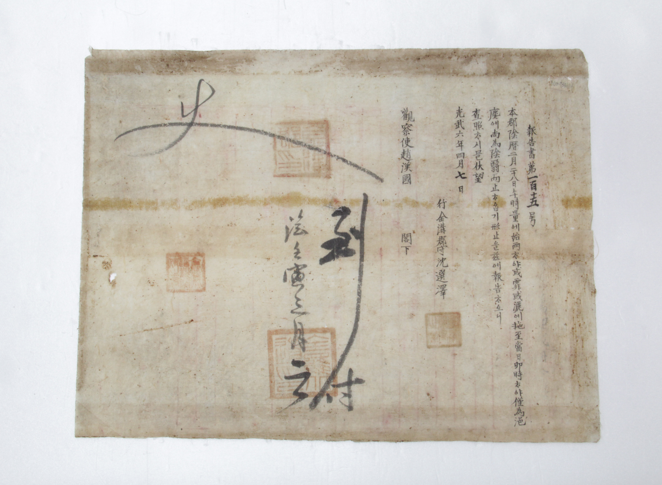 보고서 제115호 - 1902년 금구군수 심선택(沈選澤) 섬네일 파일