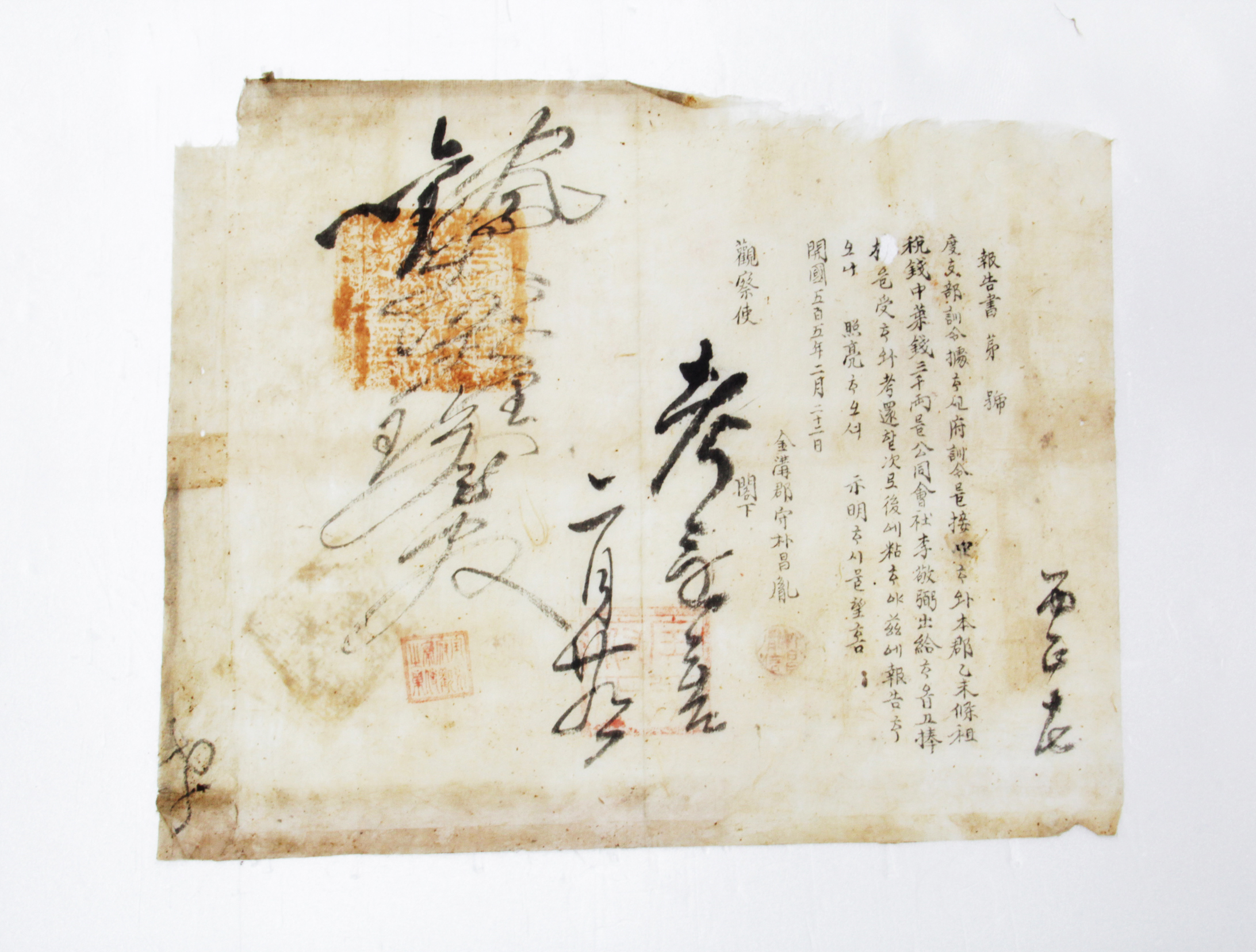 보고서 제□호 - 1896년 금구군수 박창윤(朴昌胤) 섬네일 파일