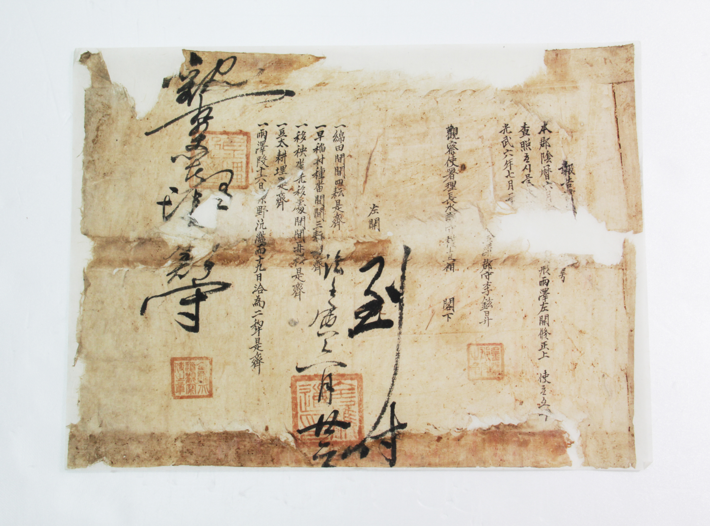 보고서 제□호 - 1902년 금구군수 이현승(李鉉昇) 섬네일 파일