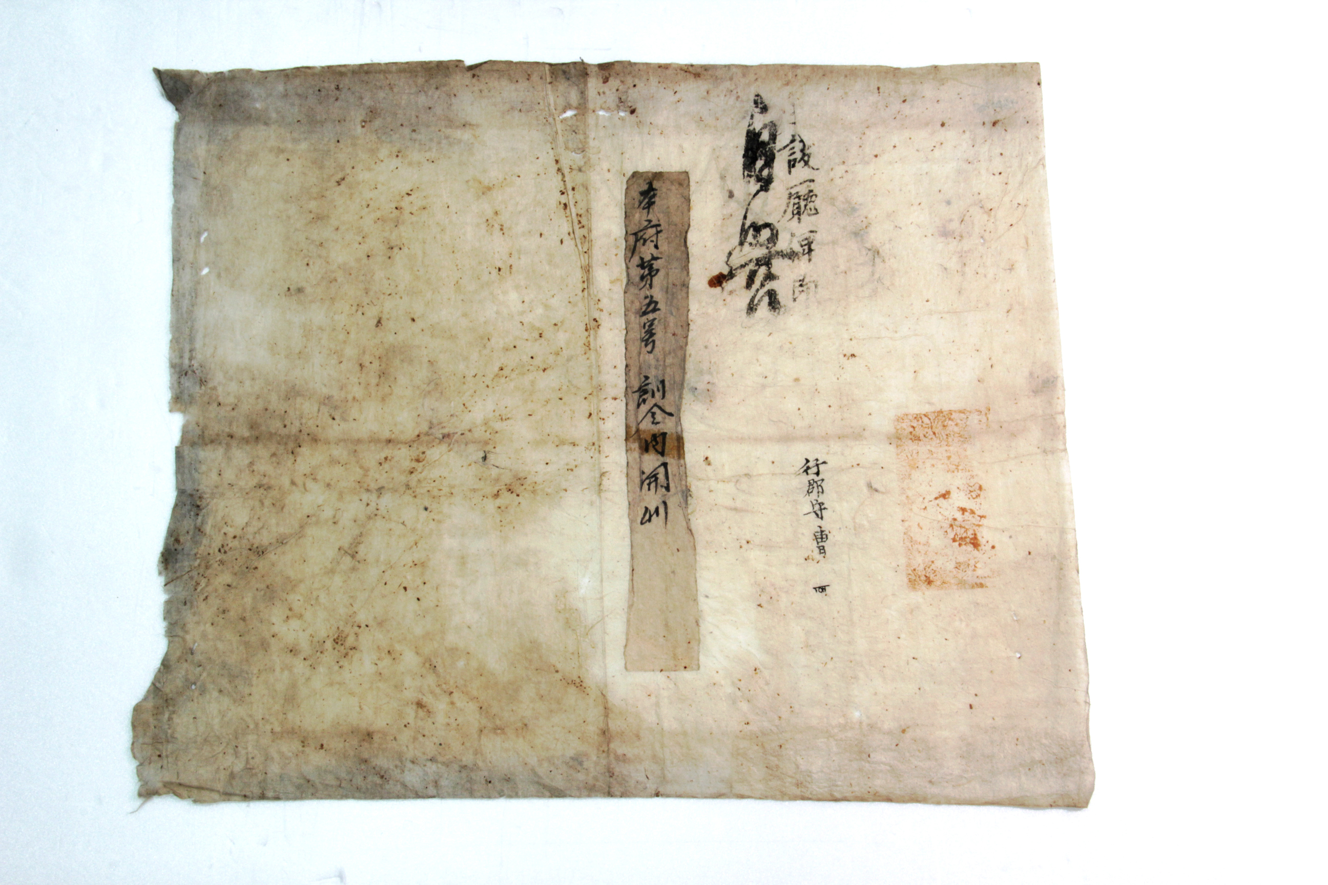 設廳年卽 본부 제5호 - 행군수 조(曺) 섬네일 파일