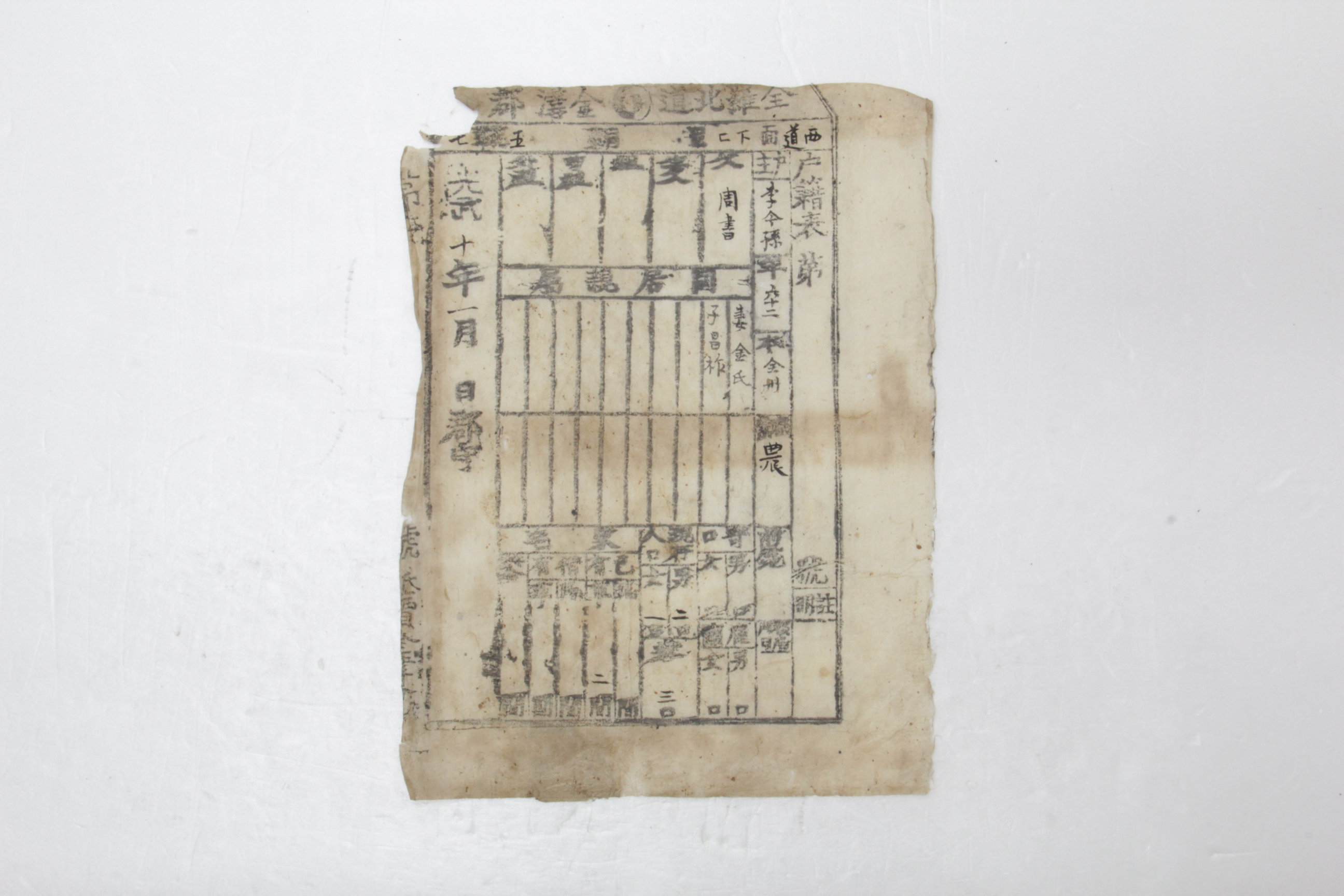 1906년 이금손 호적표 섬네일 파일