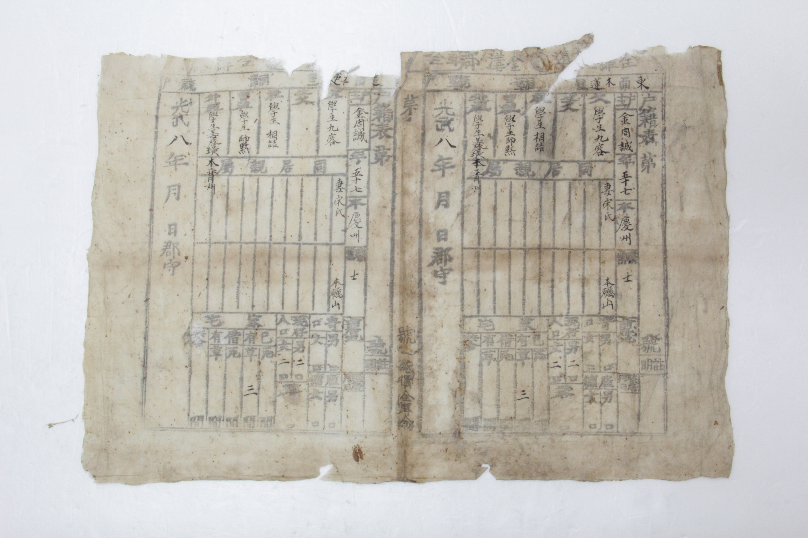 1904년 김주성 호적표 섬네일 파일
