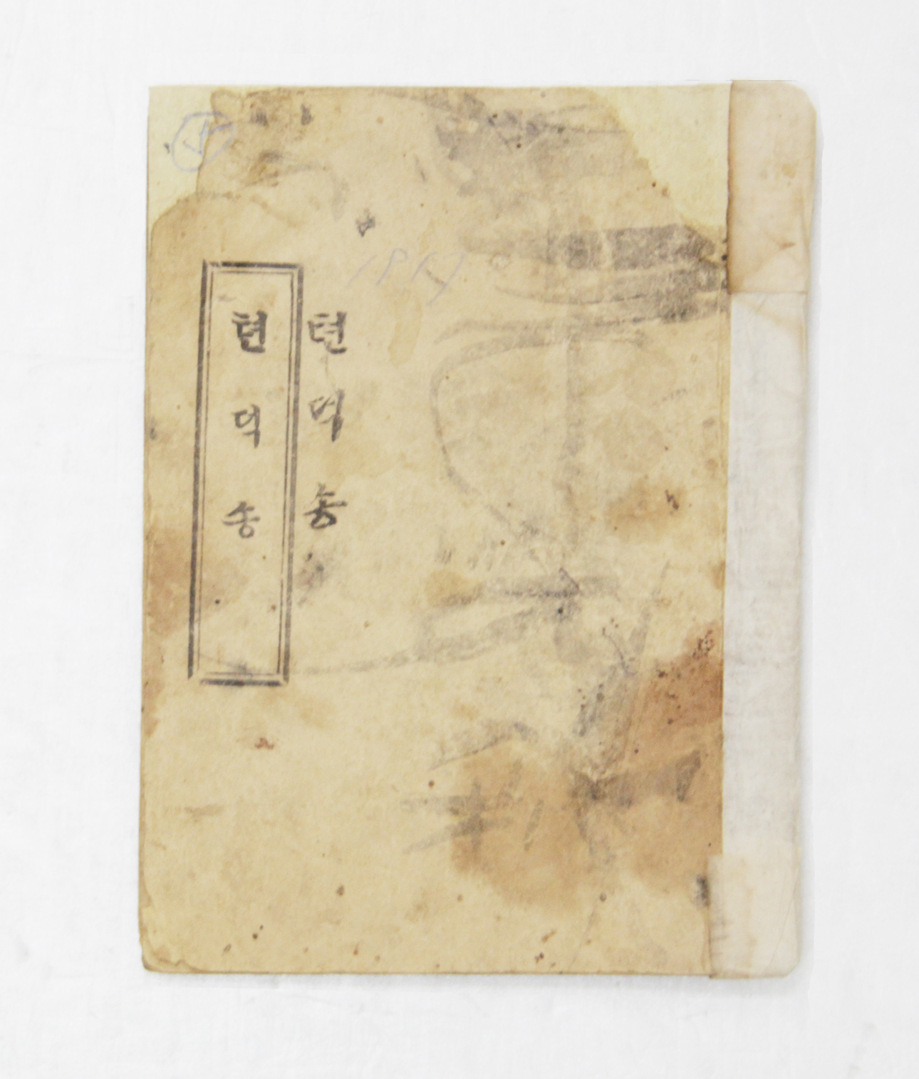 턴덕송 섬네일 파일