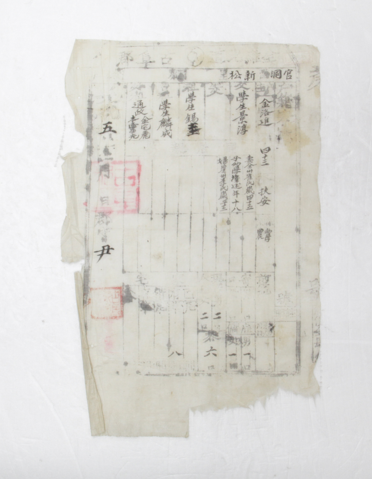 1901년 김낙진 호적표 섬네일 파일